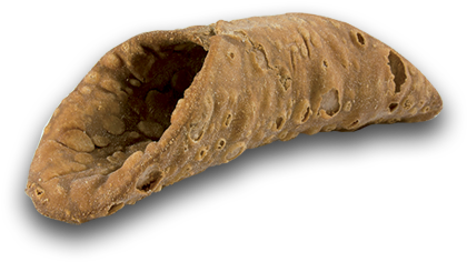 Cannoli En - Cannoli (500x500), Png Download