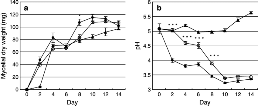 Mycelial Dry Weight - Common Fig (850x350), Png Download