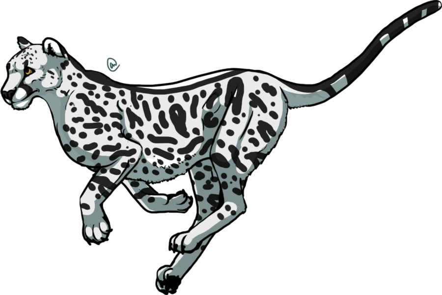 Download Clip Arts Related To - Cheetah Cartoon Black And White PNG Image  with No Background - PNGkey.com