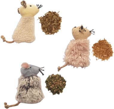 Catnip-alternative Sampler - Tatarian Honeysuckle (400x400), Png Download