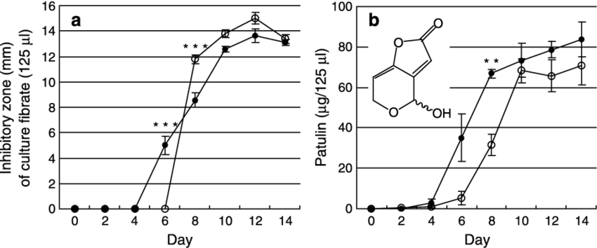 Antifungal Activity - Diagram (850x354), Png Download