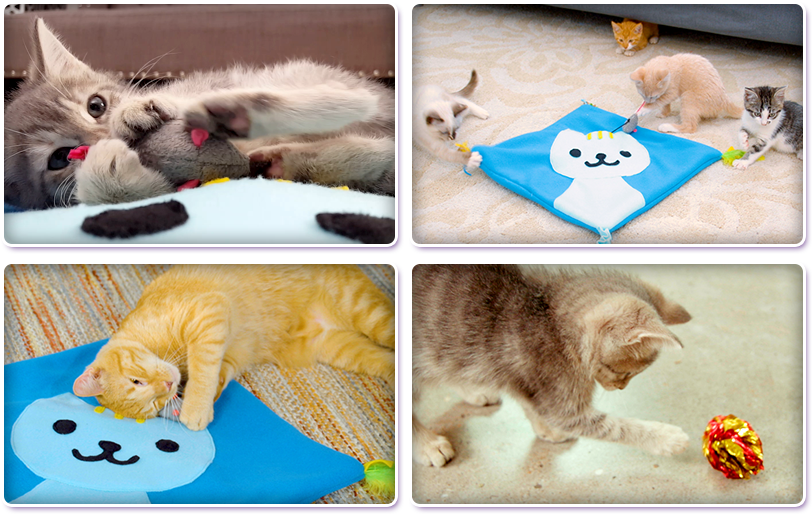 See How Much Your Cat Will Love It - Cat (819x520), Png Download