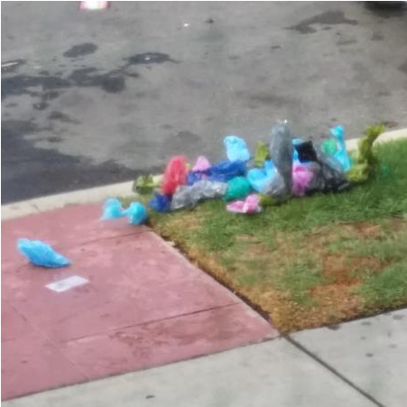 Dog Poop Is Not Recyclable - Dog (800x800), Png Download