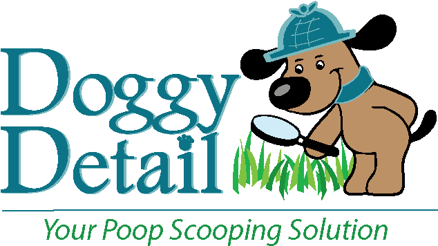 Doggy Detail Logo - Information (670x373), Png Download