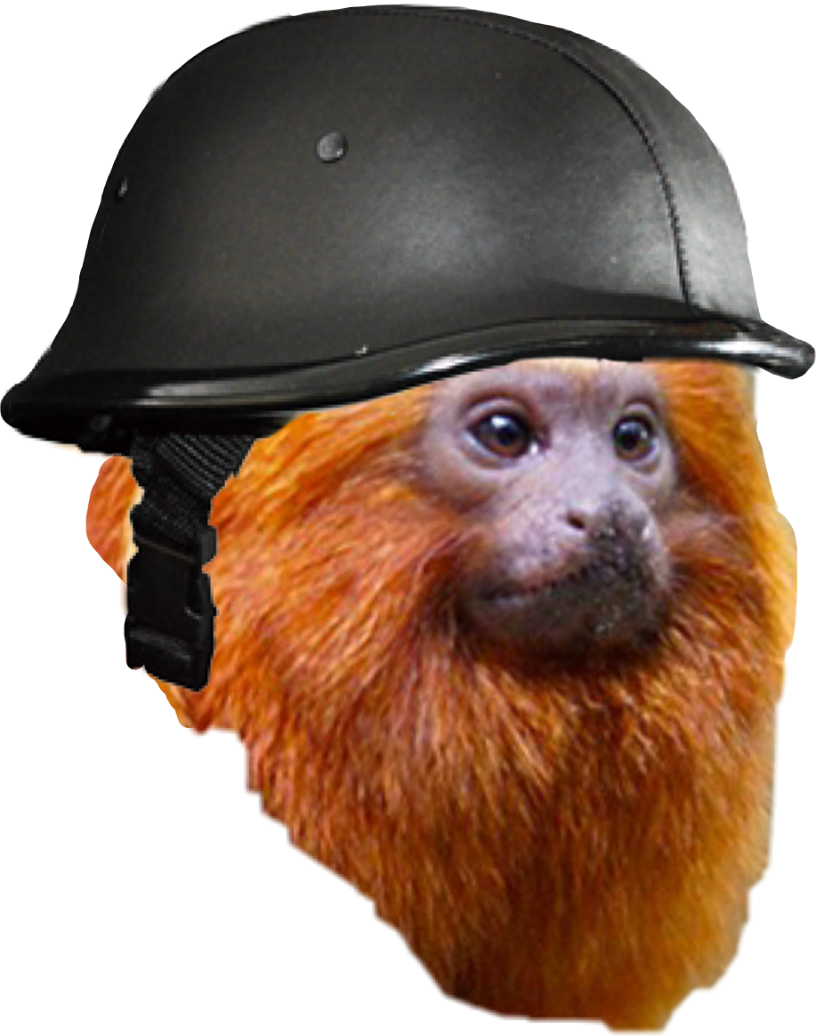 Monkey Helmet Animalperson War Freetoedit - Two-toed Sloth (917x1164), Png Download