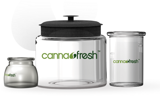 Img1 - Bud Display Jars (540x387), Png Download