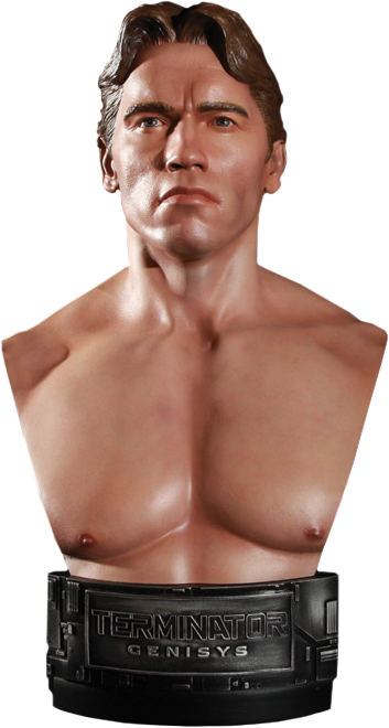 1984 T-800 - Terminator Genisys 1984 Terminator 1 2 Scale Bust (353x660), Png Download