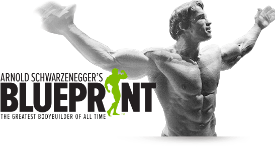 Before He Has Been The Actual Monokini Terminator Or - Arnold Schwarzenegger Blueprint Png (560x313), Png Download