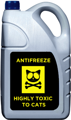 Dogs And Children Are Said To Be Attracted By Ethylene - Antifreeze Bottle (350x450), Png Download