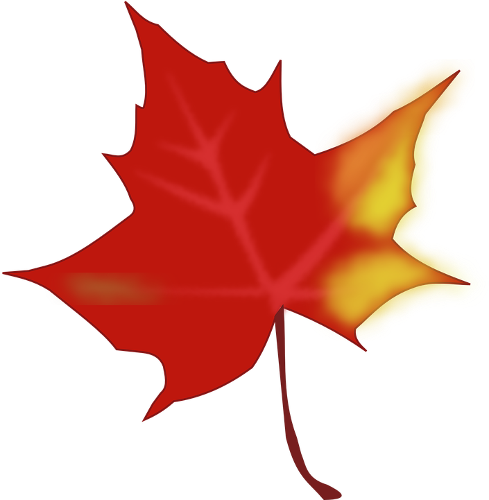 Maple Leaf Clipart Yellow Fall Leaf - Red Fall Leaf Clip Art (851x720), Png Download