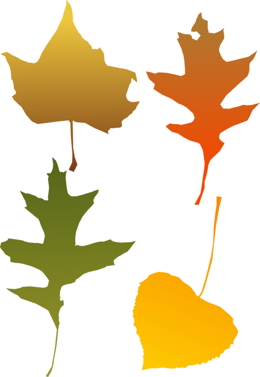 Autumn Leaf Color Red Maple Tree - Autumn Leaf Clip Art (518x750), Png Download