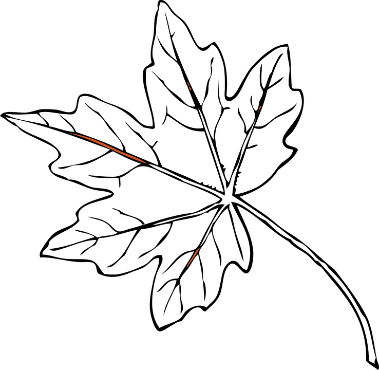 Flat Red Maple Leaf Little Stem Stock Vector Hd - Fall Leaves Clip Art (738x720), Png Download