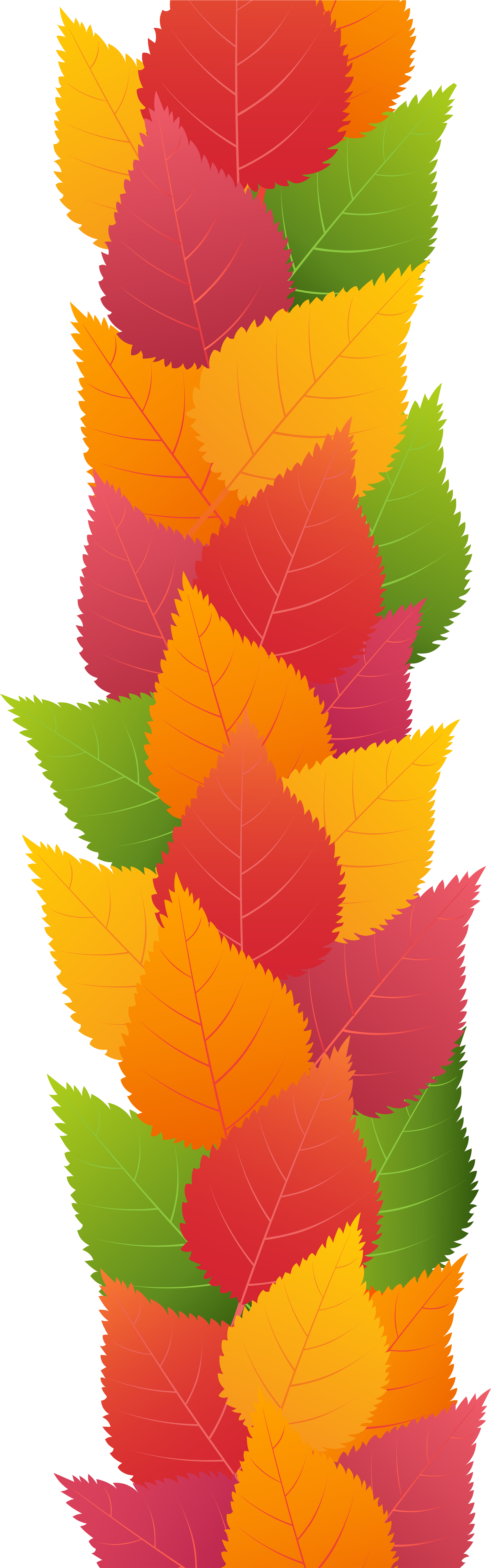 Maple Leaf (2606x8000), Png Download