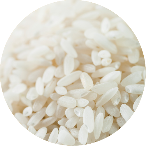 Rice (501x501), Png Download