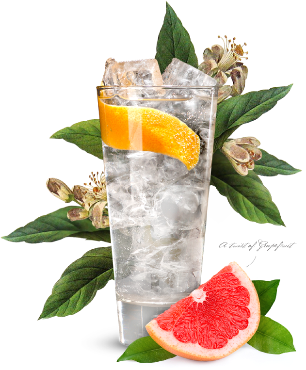 Download Portobello Road Gin & Tonic Gin And Tonic Png PNG Image with