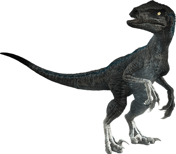 The Kaiju Brony Official Jurassic World Fallen Kingdom - Jurassic World Fallen Kingdom Dinosaurs Png (600x526), Png Download