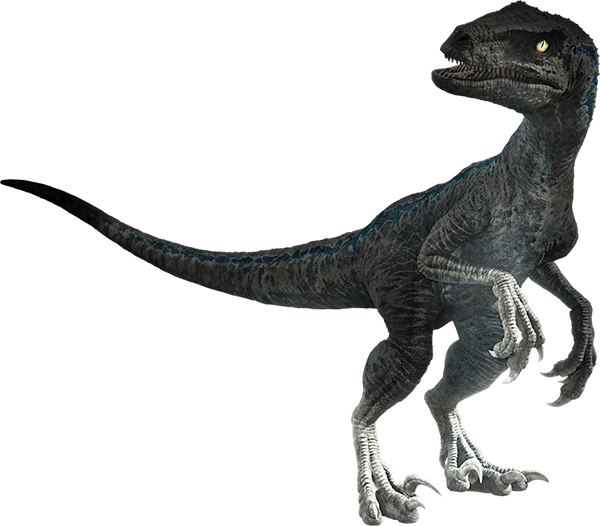 Download The Kaiju Brony Official Jurassic World Fallen Kingdom Jurassic World Fallen Kingdom Dinosaurs Png Png Image With No Background Pngkey Com Download The Kaiju Brony Official Jurassic World Fallen Kingdom Jurassic World Fallen Kingdom Dinosaurs Png Png Image With No Background Pngkey Com