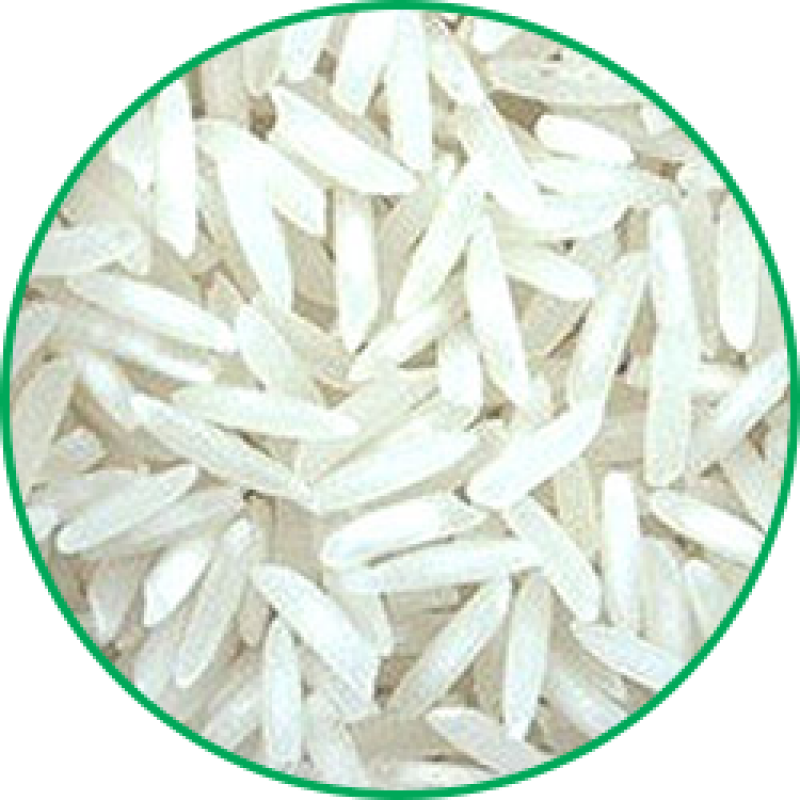 Download Indian Basmati Rice PNG Image with No Background