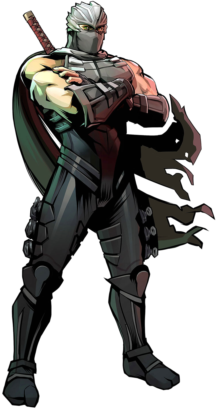 Ryu Hayabusa Png Image With Transparent Background - Ryu Hayabusa Ninja Gaiden (800x1440), Png Download
