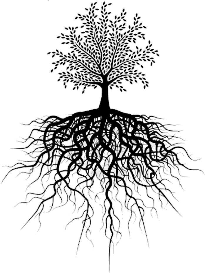 Report Abuse - Small Tree Big Roots (720x930), Png Download