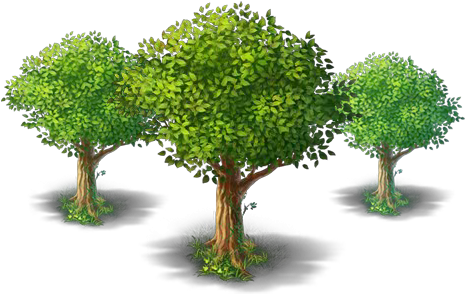 Root Pruning Services - California (600x368), Png Download