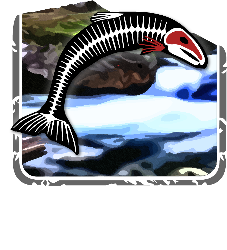 No Salmon Pale Ale - Lolo Peak Brewing Company (1000x1100), Png Download