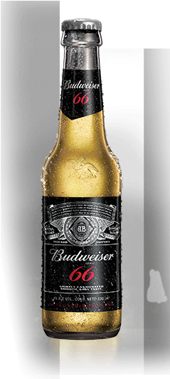 Bottle - Beer Bottle (258x530), Png Download