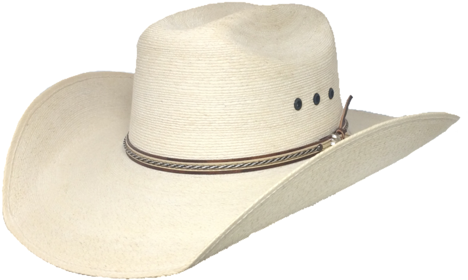 Rdr Palm Hat - Hat (1024x726), Png Download