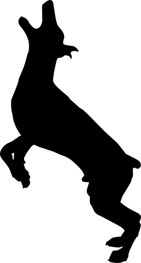 Free Png Dog Silhouette Png Images Transparent - Portable Network Graphics (480x893), Png Download