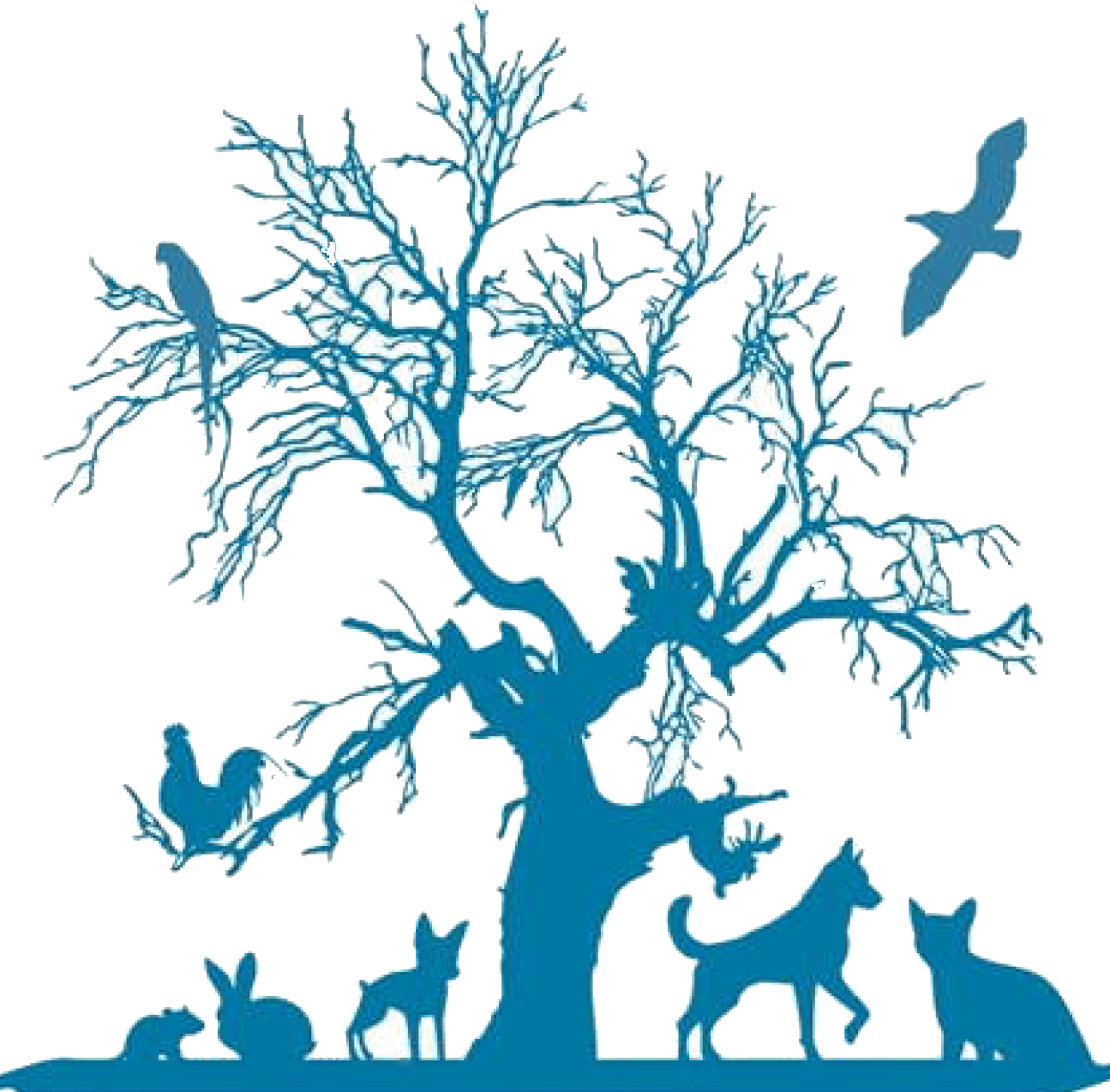 Contact Us - Travel And Tourist In Nepal Logo (1295x1274), Png Download