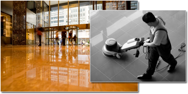 We Specialize In - Floor (617x337), Png Download