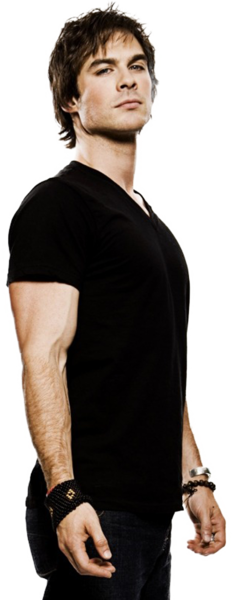 Damon Salvatore - Ian Somerhalder And Paul Wesley Poster (232x600), Png Download