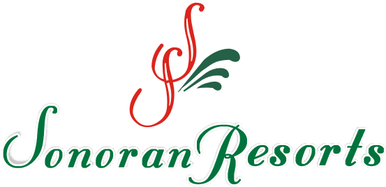 Logo Clear - Sonora (553x268), Png Download