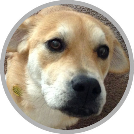 Anabelle - Annabelle (448x448), Png Download