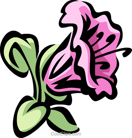 Rhododendron - Rhododendrons Clipart (458x480), Png Download