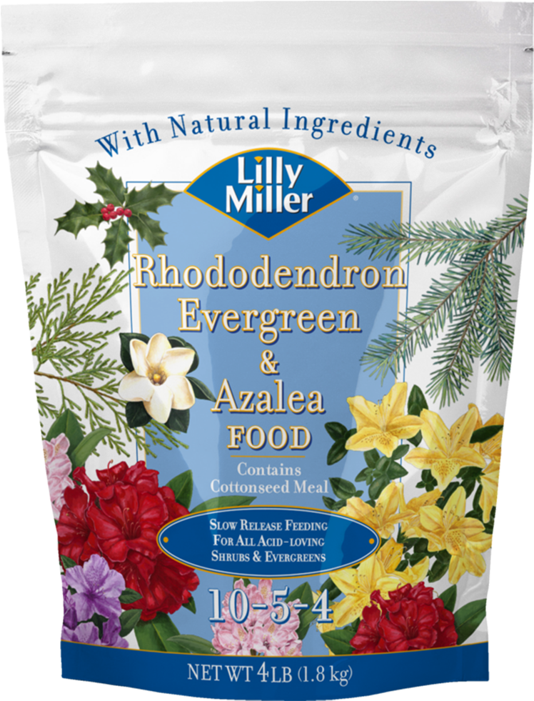 Lilly Miller Rhododendron Evergreen & Azalea Food Plant - Lilly Miller Lilly Miller Morcrop Vegetable Food (1000x1000), Png Download