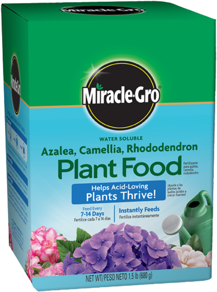 Miracle Gro Water Soluble Azalea, Camellia, Rhododendron - Miracle Gro Rose Food (741x1000), Png Download
