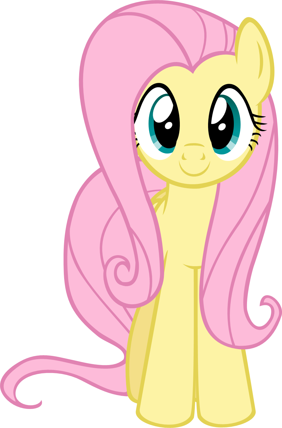 A Question And Answer Session With Corch Travis - Fluttershy From The Front (919x1394), Png Download