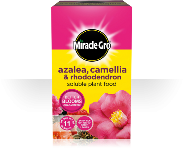 More Views - Azelea Camellia Rhododendron Plant Food (600x600), Png Download