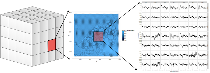 Sil - Floor Plan (808x282), Png Download