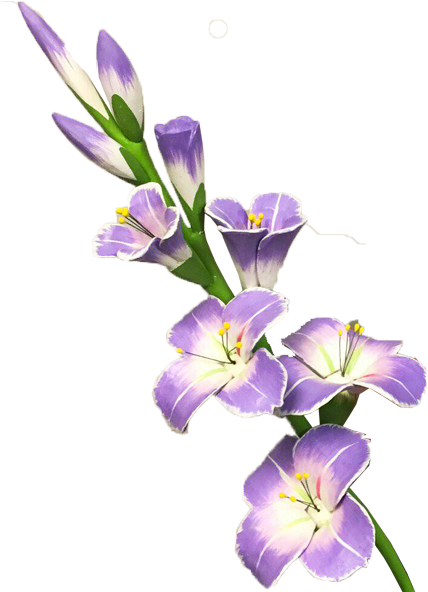 Gladiolus Png Transparent Picture - Гладиолус Png (600x600), Png Download