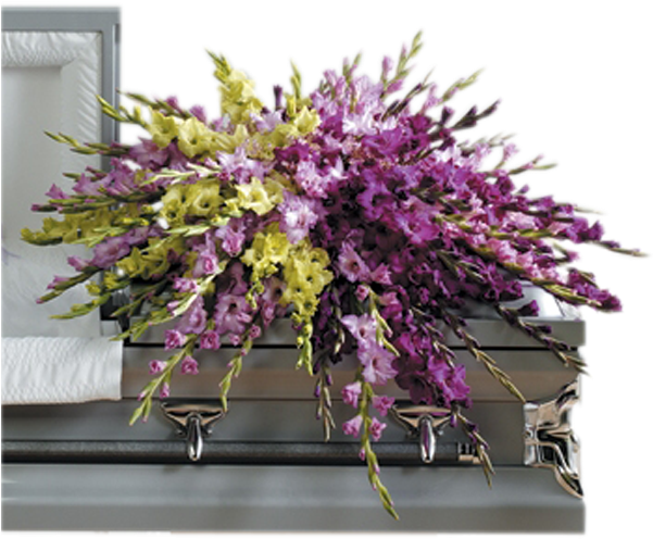 Gladiolus Casket Cover - Ctt81 11 (600x600), Png Download