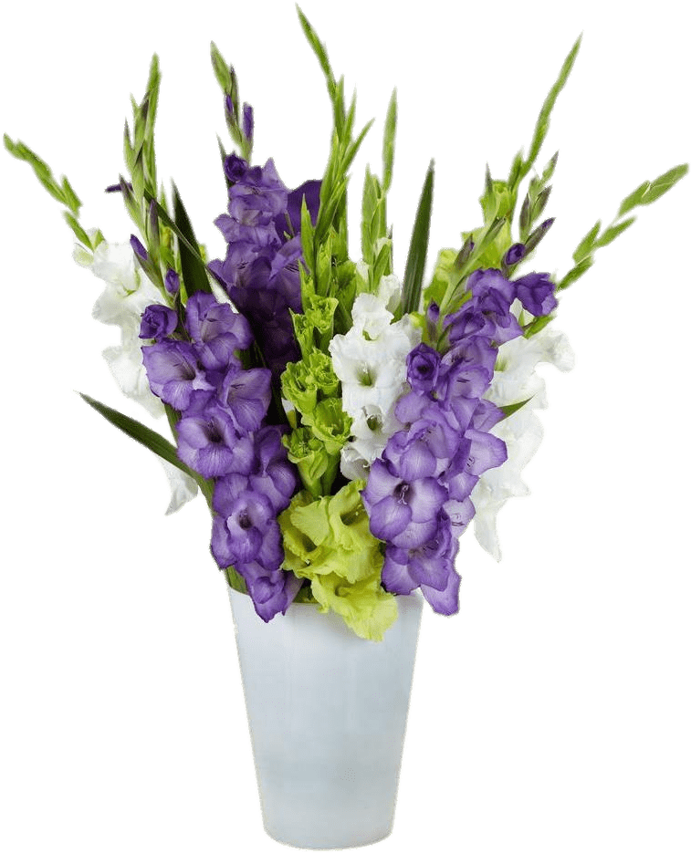 Gladiolus Composition In Vase - Gladiolus Plant Bulbs By Bloomsz - Gladiolus Gemstones (1000x1000), Png Download