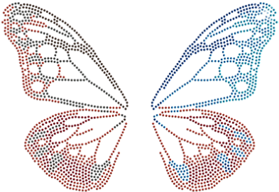 Butterfly Wing With Nailhead Combination - Brush-footed Butterfly (415x415), Png Download