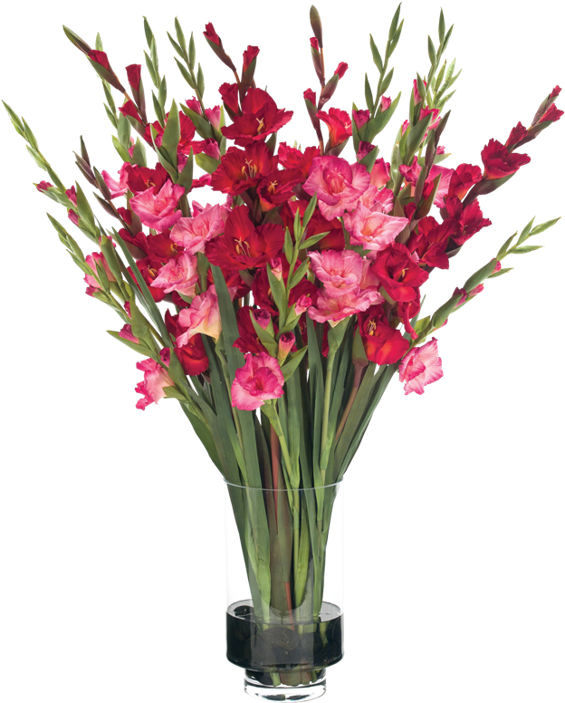 Gladiolus In Vases - Гладиолусы В Вазе (650x803), Png Download