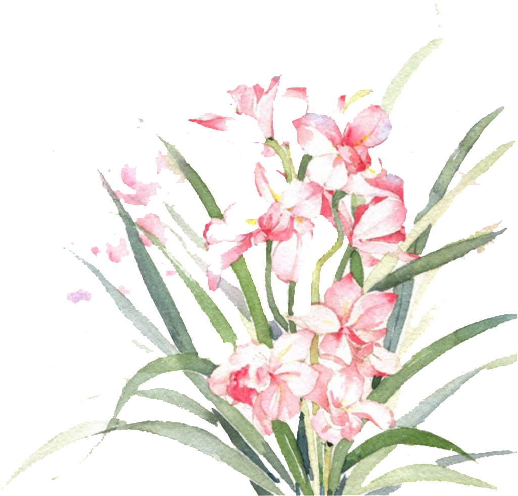 Illustration (1024x1019), Png Download