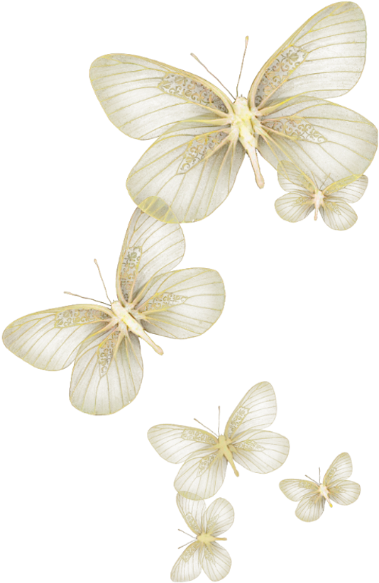Butterfly Wing Moth Fly Sky Yellow Glitter Wind Flying - Butterfly (1024x1024), Png Download