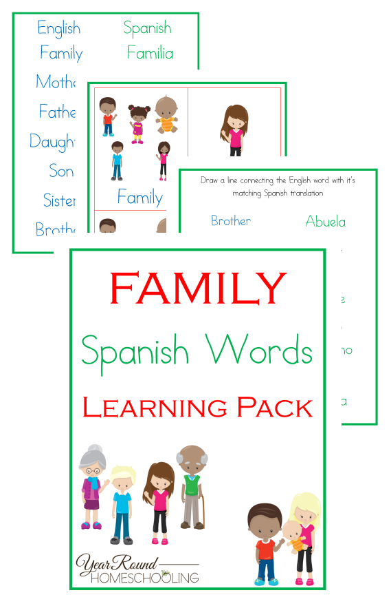 Spanish Family Words, Spanish Family, Spanish Words - Easy Spanish Words Clipart (600x900), Png Download