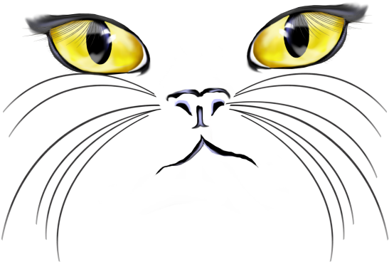 Kitty Face Clipart - Cat Face (550x550), Png Download