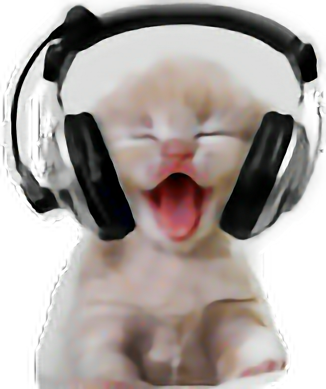 Made By @swalker3 Headphones Earphones Cat Kitty Kitten - Funny Mental Health Gif (664x792), Png Download